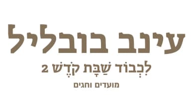 עינב בובליל Logo