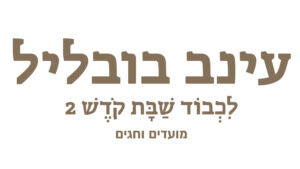 עינב בובליל לוגו